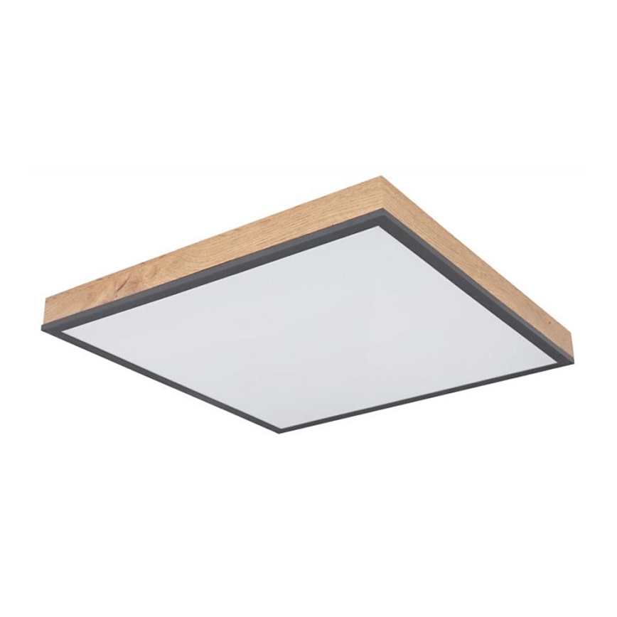 Globo - Светодиодный потолочный светильник LED/24W/230V