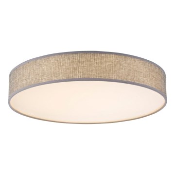Globo - Светодиодный потолочный светильник LED/24W/230V