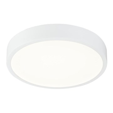 Globo - Светодиодный потолочный светильник с регулированием яркости LED/22W/230V