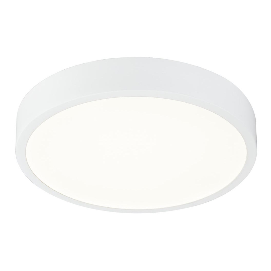 Globo - Светодиодный потолочный светильник с регулированием яркости LED/22W/230V