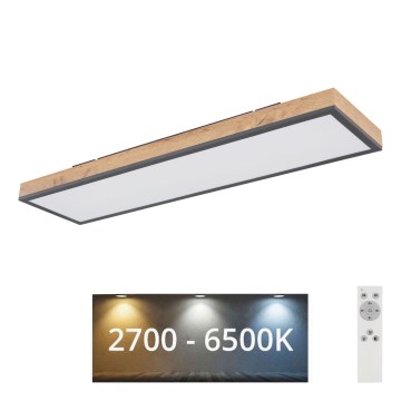 Globo - Светодиодный потолочный светильник с регулированием яркости LED/24W/230V 2700-6500K + дистанционное управление