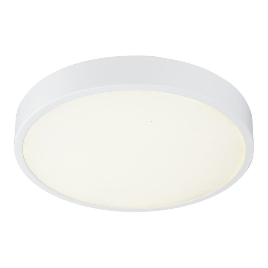 Globo - Светодиодный потолочный светильник с регулированием яркости LED/28W/230V