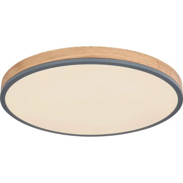 Globo - Светодиодный потолочный светильник с регулированием яркости LED/40W/230V 2700-6500K диаметр 60 cm + дистанционное управление коричневая/серая