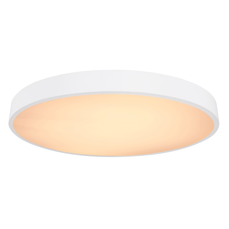 Globo - Светодиодный потолочный светильник с регулированием яркости LED/48W/230V 3000-6000K + дистанционное управление