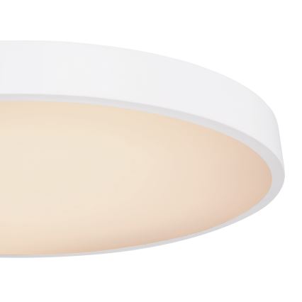 Globo - Светодиодный потолочный светильник с регулированием яркости LED/48W/230V 3000-6000K + дистанционное управление
