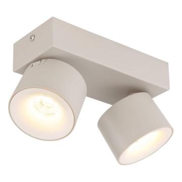 Globo - светодиодный точечный светильник 2xLED/6W/230V