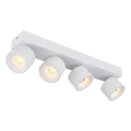 Globo - Светодиодный точечный светильник 4xLED/6W/230V белый