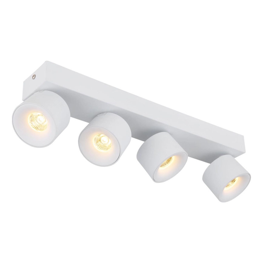 Globo - Светодиодный точечный светильник 4xLED/6W/230V белый