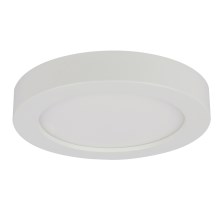 Globo - Светодиодный потолочный светильник для ванной комнаты 1xLED/12W/230V