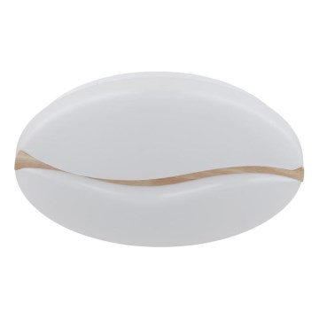 Globo - Світильник стельовий LED/24W/230V 3000/4200/6000K діам. 33 см