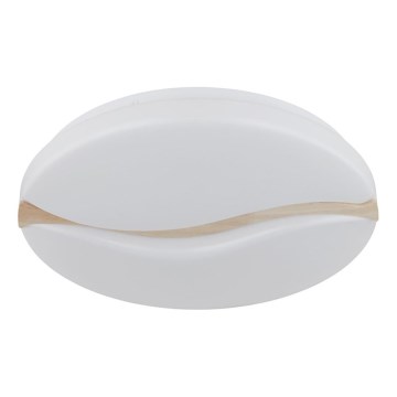 Globo - Світильник стельовий LED/24W/230V 3000/4200/6000K діам. 39 см