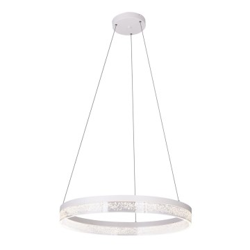 Globo - Світлодіодна підвісна люстра 1xLED/36W/230V
