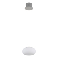 Globo - Світлодіодна підвісна люстра LED/6W/230V білий
