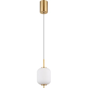 Globo - Світлодіодна підвісна люстра LED/7W/230V