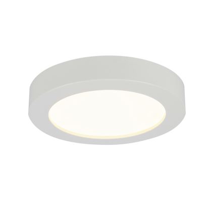 Globo - Світлодіодний стельовий світильник для ванної кімнати 1xLED/18W/230V IP44