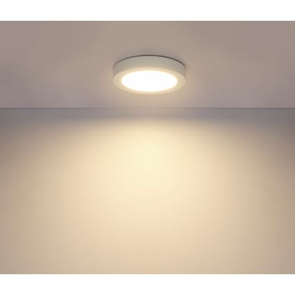 Globo - Світлодіодний стельовий світильник для ванної кімнати 1xLED/18W/230V IP44