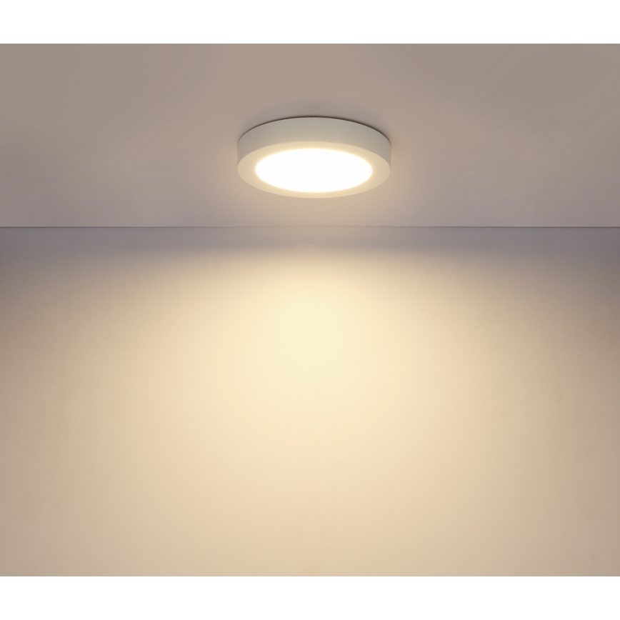 Globo - Світлодіодний стельовий світильник для ванної кімнати 1xLED/18W/230V IP44