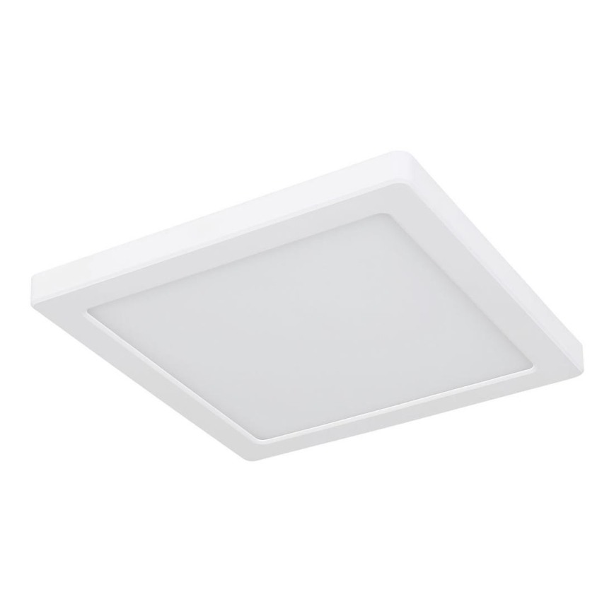 Globo - Світлодіодний стельовий світильник LED/12W/230V 3000/4000/6500K білий
