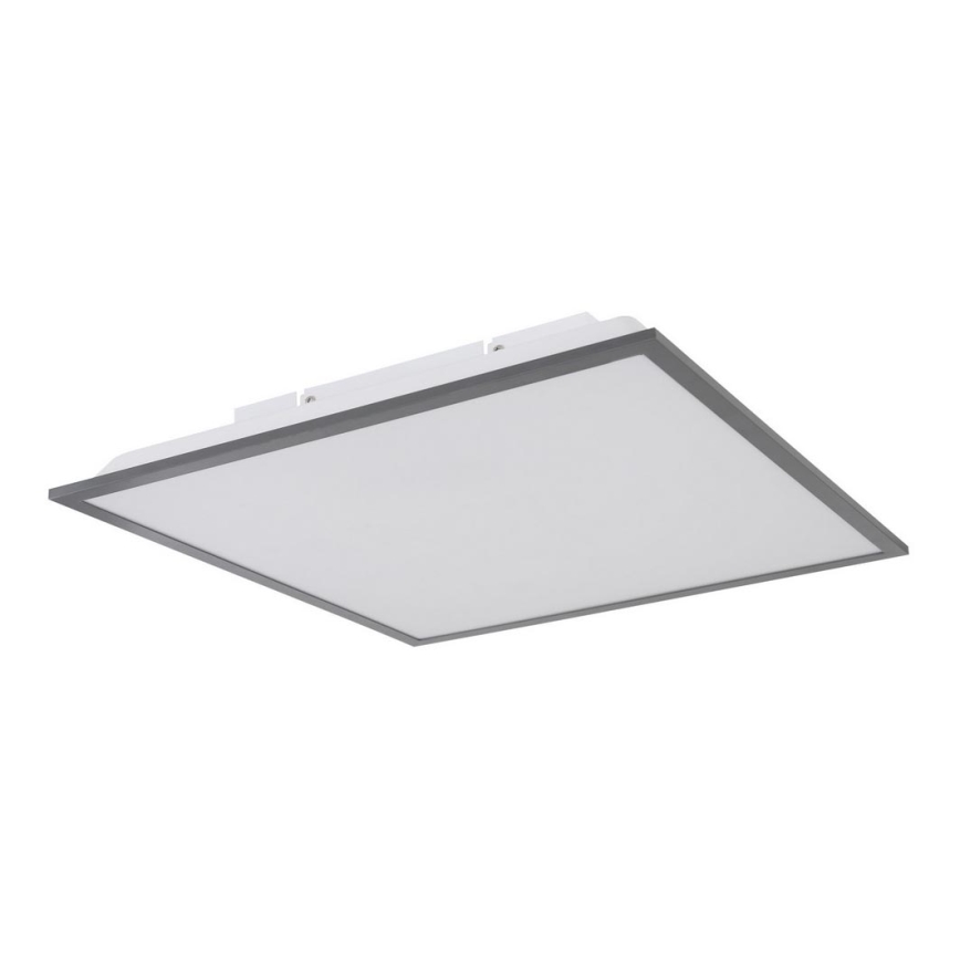 Globo - Світлодіодний стельовий світильник LED/24W/230V