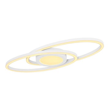 Globo - Світлодіодний стельовий світильник LED/24W/230V