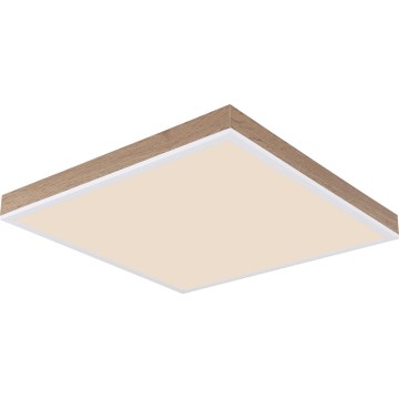 Globo - Світлодіодний стельовий світильник з регулюванням яскравості LED/24W/230V 2700-6500K + пульт дистанційного керування коричневий/білий