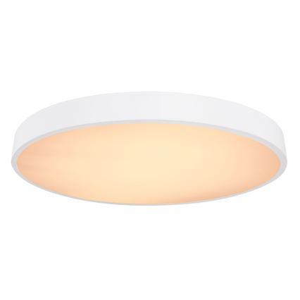 Globo - Світлодіодний стельовий світильник з регулюванням яскравості LED/48W/230V 3000-6000K + пульт дистанційного керування