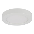 Globo - Світлодіодний стельовий світильник для ванної кімнати 1xLED/18W/230V IP44