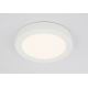Globo - Світлодіодний стельовий світильник для ванної кімнати 1xLED/22W/230V IP44