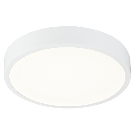 Globo - Світлодіодний стельовий світильник для ванної кімнати з регульованою яскравістю підсвічування LED/22W/230V IP44