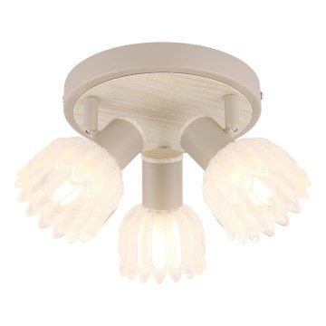 Globo - точечный светильник 3xE14/40W/230V