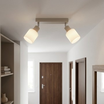 Globo - Точечный светильник 2xE14/25W/230V