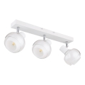 Globo - Точечный светильник 3xE14/40W/230V белый