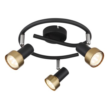 Globo - Точечный светильник  3xGU10/25W/230V черный/золотистый