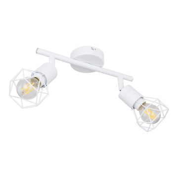 Globo - Точковий світильник 2xE14/40W/230V