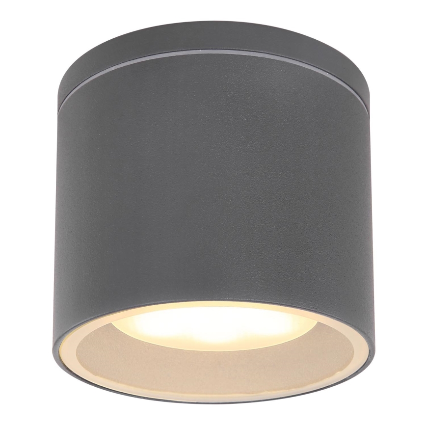 Globo - Уличный потолочный светильник 1xGX53/11W/230V IP44