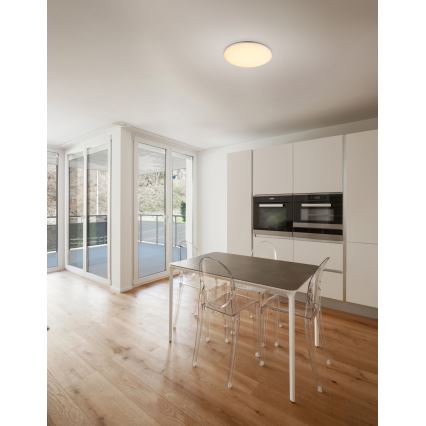 Globo - Вуличний світлодіодний стельовий світильник 1xLED/24W/230V IP54