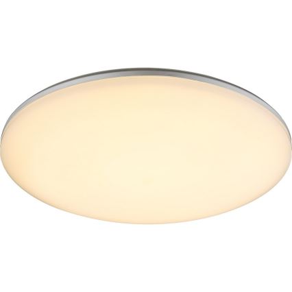 Globo - Вуличний світлодіодний стельовий світильник 1xLED/24W/230V IP54