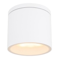 Globo - Зовнішній стельовий світильник 1xGX53/11W/230V IP44