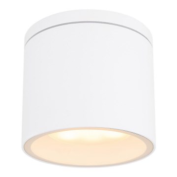 Globo - Зовнішній стельовий світильник 1xGX53/11W/230V IP44