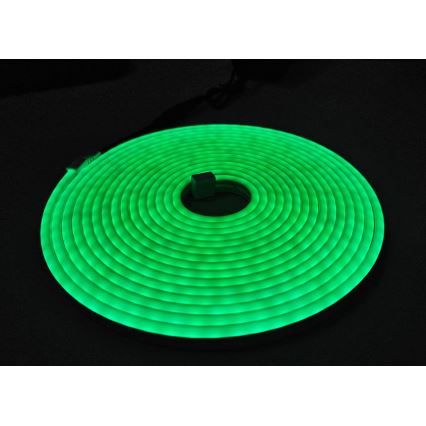Гнучка світлодіодна стрічка NEON LED/10W/230V 5 м IP65 зелена