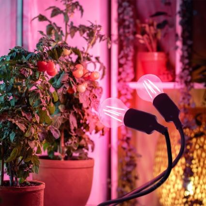 Гнучка настільна лампа з кліпсою для вирощування рослин PLANTY 2xE27/30W/230V чорна