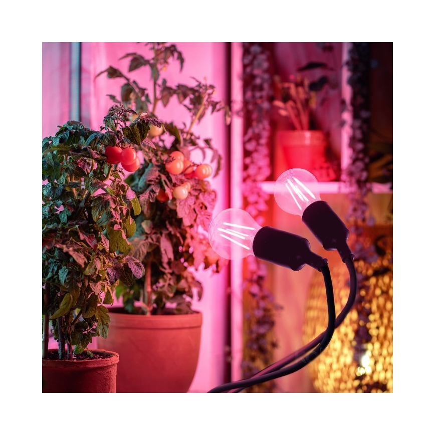 Гнучка настільна лампа з затискачем для вирощування рослин PLANTY 2xE27/30W/230V чорний