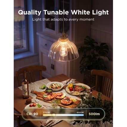 Govee - LED RGBWW диммируемая лампа Smart MATTER ST64 E27/5W/230V 2700-6500K Wi-Fi