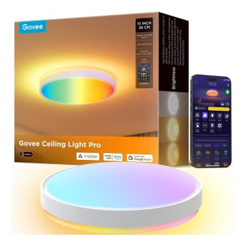 Govee - LED RGBIC Стельовий світильник з регулюванням яскравості LED/49W/230V 2700-6500K Wi-Fi