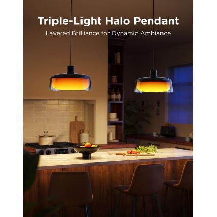 Govee - LED RGBICWW Диммируемый подвесной светильник на тросе LED/21W/230V Matter Wi-Fi