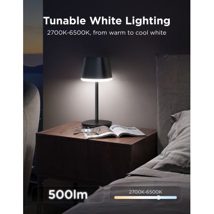 Govee - LED RGBICWW диммируемая настольная лампа CLASSIC MATTER LED/10W/5V 4800mAh Wi‑Fi