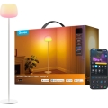 Govee - LED RGBICWW Регулируемая по яркости напольная лампа LANTERN MATTER LED/24W/230V Wi-Fi 160 cm