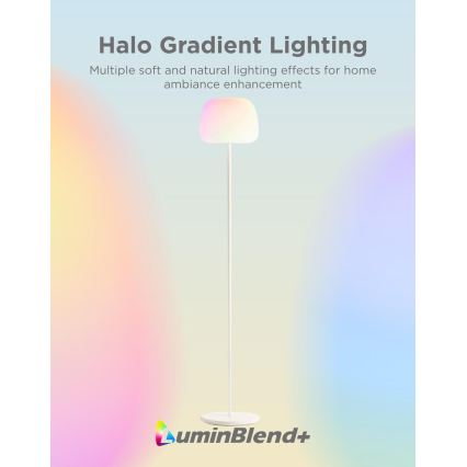 Govee - LED RGBICWW Регулируемая по яркости напольная лампа LANTERN MATTER LED/24W/230V Wi-Fi 160 cm