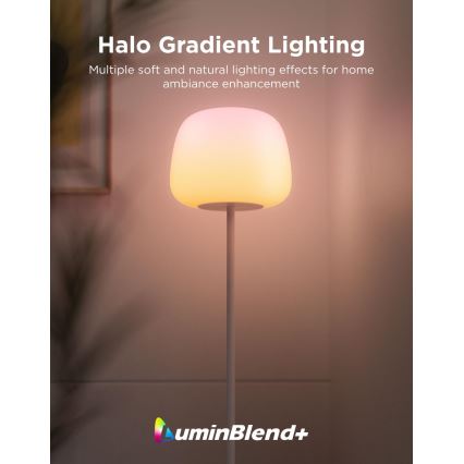 Govee - LED RGBICWW Регулируемая по яркости напольная лампа LANTERN MATTER LED/24W/230V Wi-Fi 160 cm