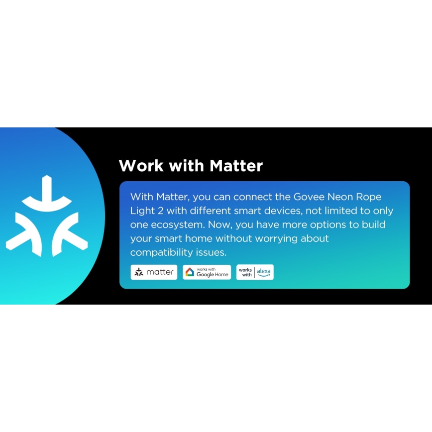 Govee - Neon 2 MATTER Світлодіодна гнучка стрічка 5м RGBIC Wi-Fi IP67